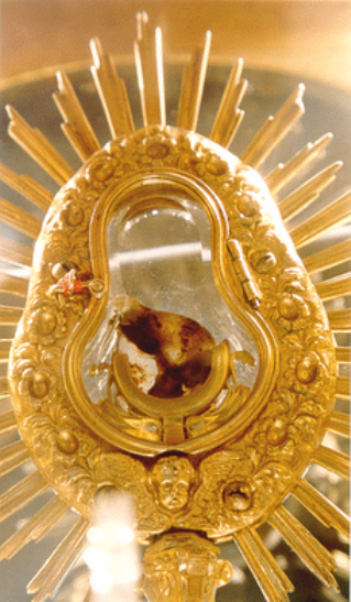 Eucharist-miracle-Santarem- Miracle- Relic | | Queen of Heaven Tours